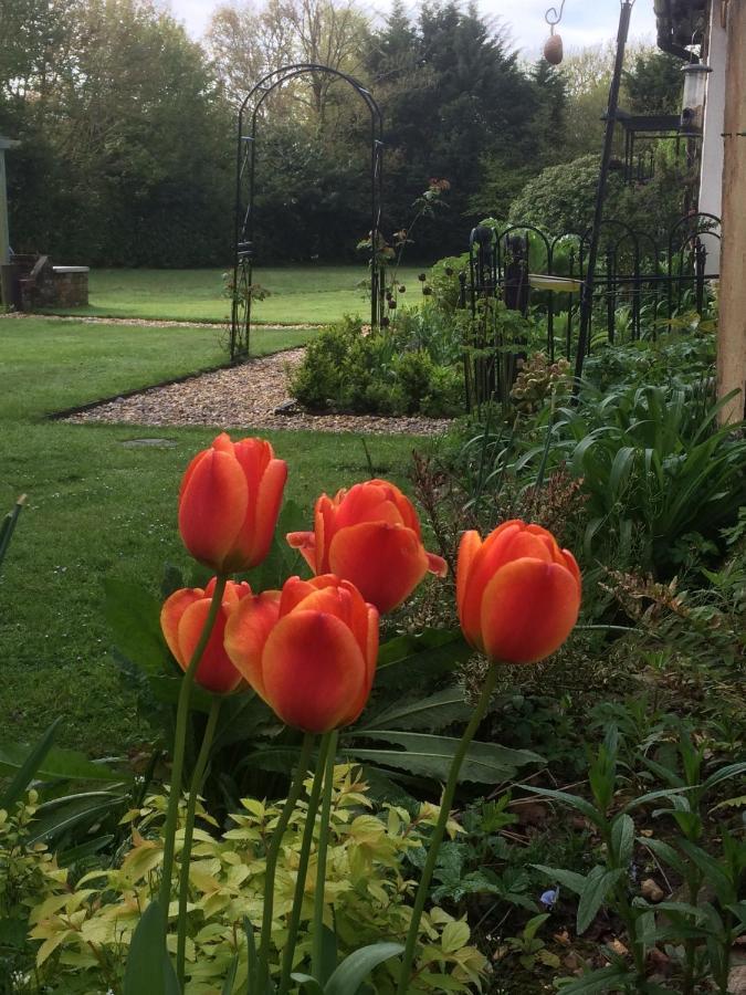Woodacre B & B Arundel Dış mekan fotoğraf