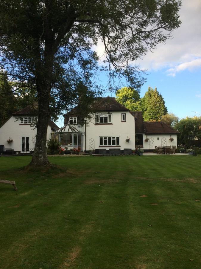 Woodacre B & B Arundel Dış mekan fotoğraf